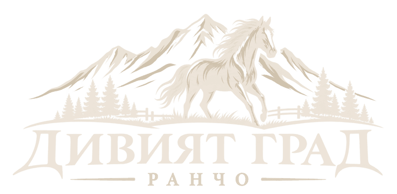 Ранчо Дивият град